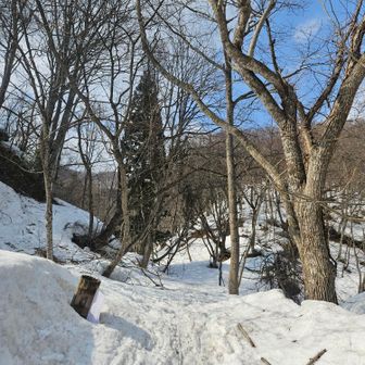 マンガン登山口到着👣
今日は松倉神社までお山歩
スノーシュー練習できて
とても嬉しかったです。

ご一緒させていただき
ありがとうございました😆