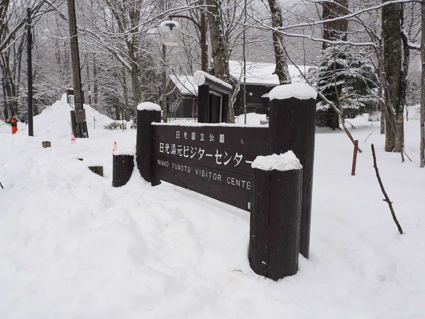 前白根山登り口 往復コースの写真