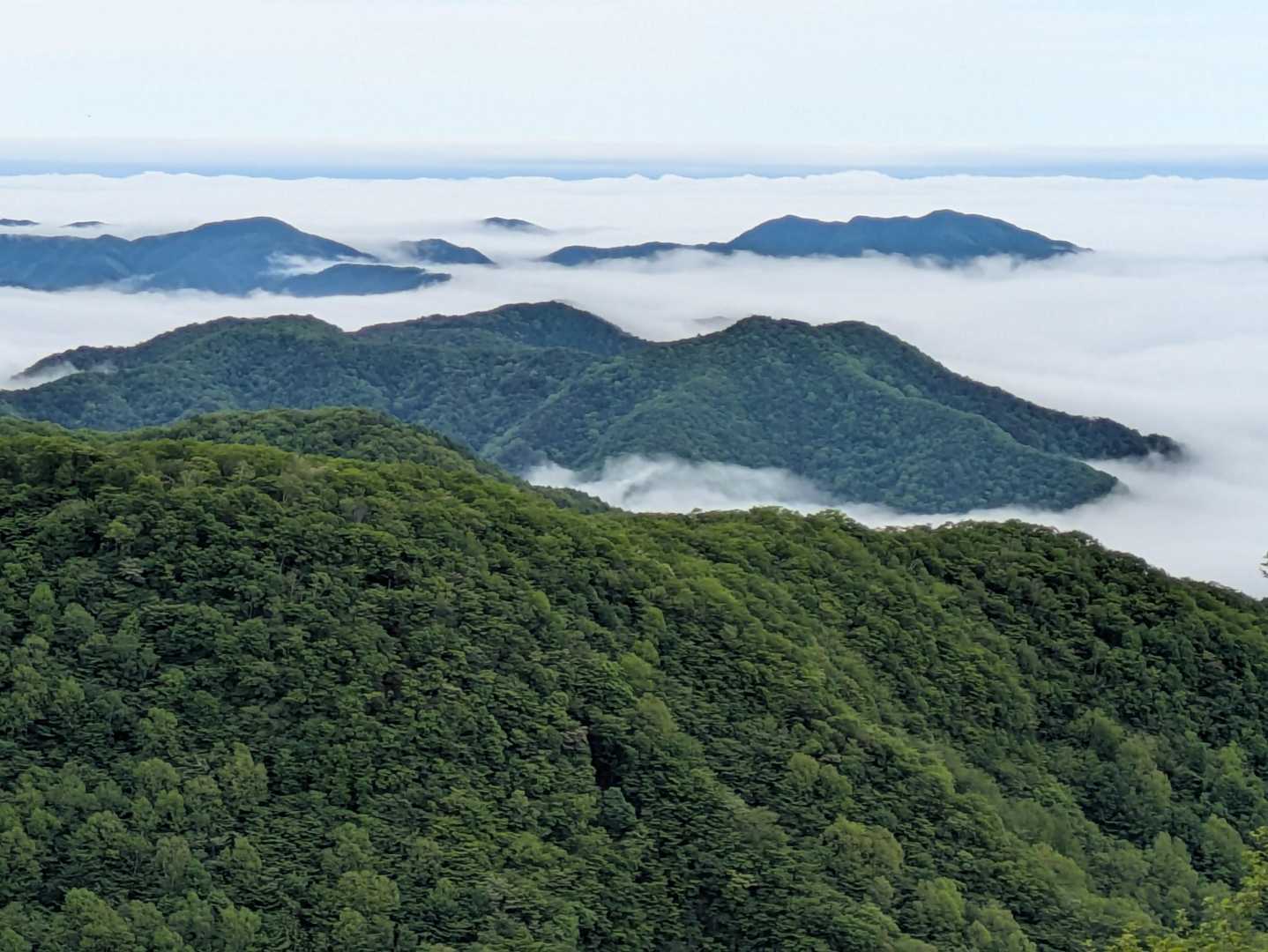 関東平野は雲海の下です