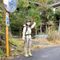 rasras_japan