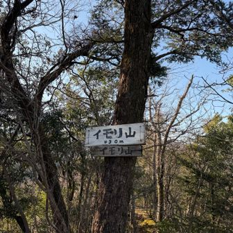 山頂まできたら手前の分岐まで戻ってください。
この先に道はありません。
ってここに書いた方がいいよね😅
