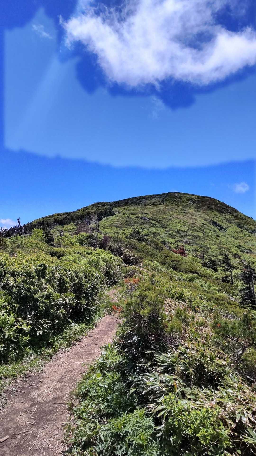 刈田峠-前山-杉ヶ峰 往復コースの写真