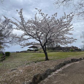 本日の一座目 亀島山（78m）