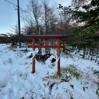 手を合わせていざ出陣✊
