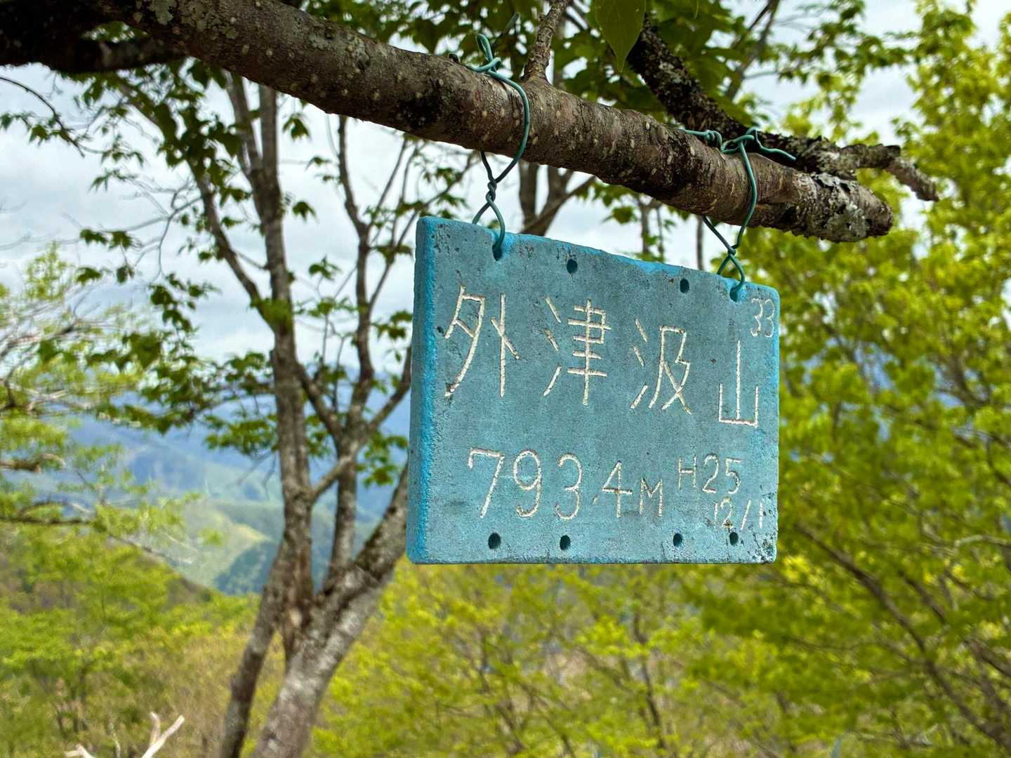 外津汲山トウチャコ❣️