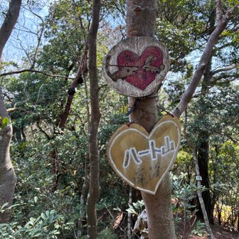六座目　ハート山❤️登頂です⛰️