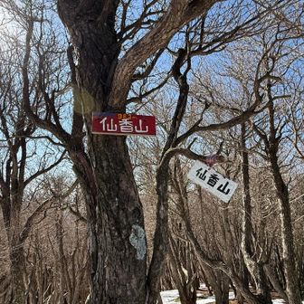 やっと仙香山、可愛い標識👍