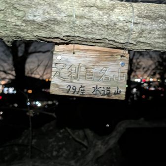 GP27　猪罠あるので注意