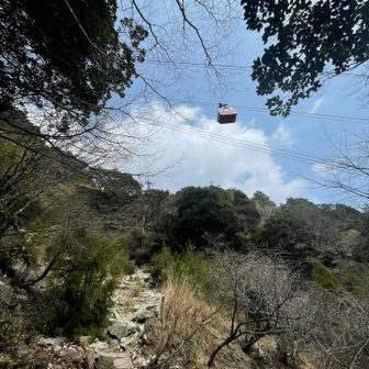 ロープウェイ🚡下を通過