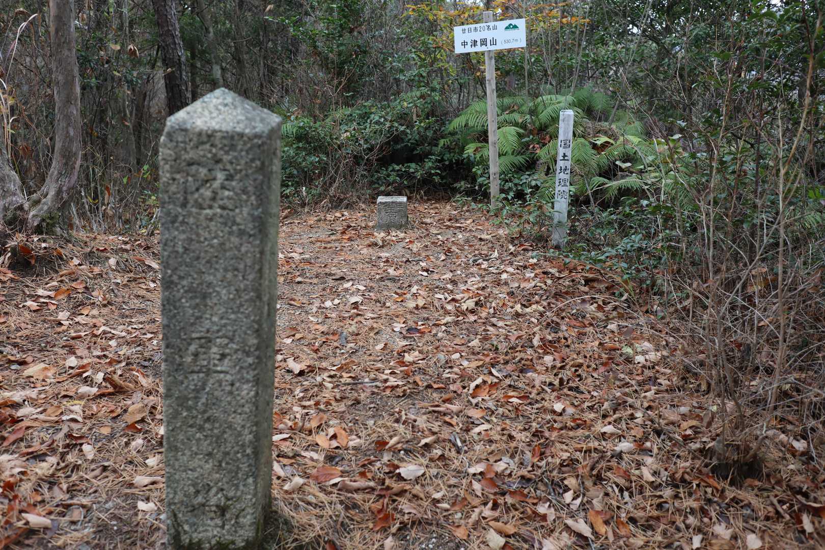 「中津岡山」山頂　530.7ｍ