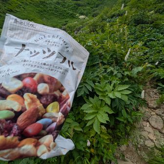 なので食べ歩いてます…
