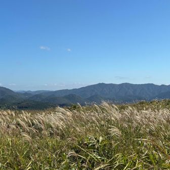 ススキがたなびく草原の中に浸ります
