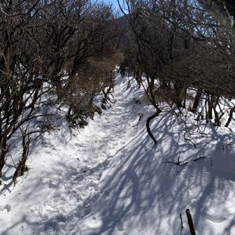 ここからさらに残雪多し！
登りづらい😂
