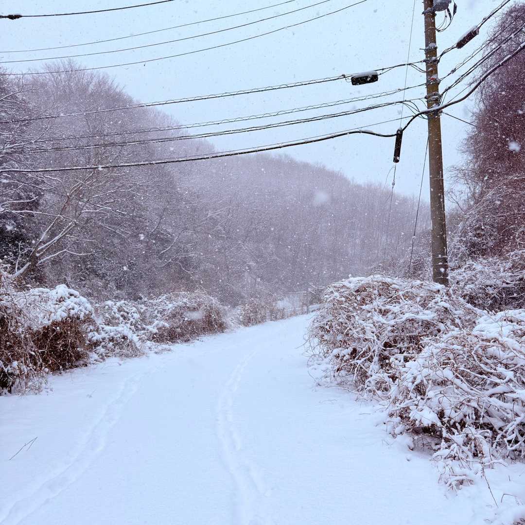 御岩山 往復コースの写真