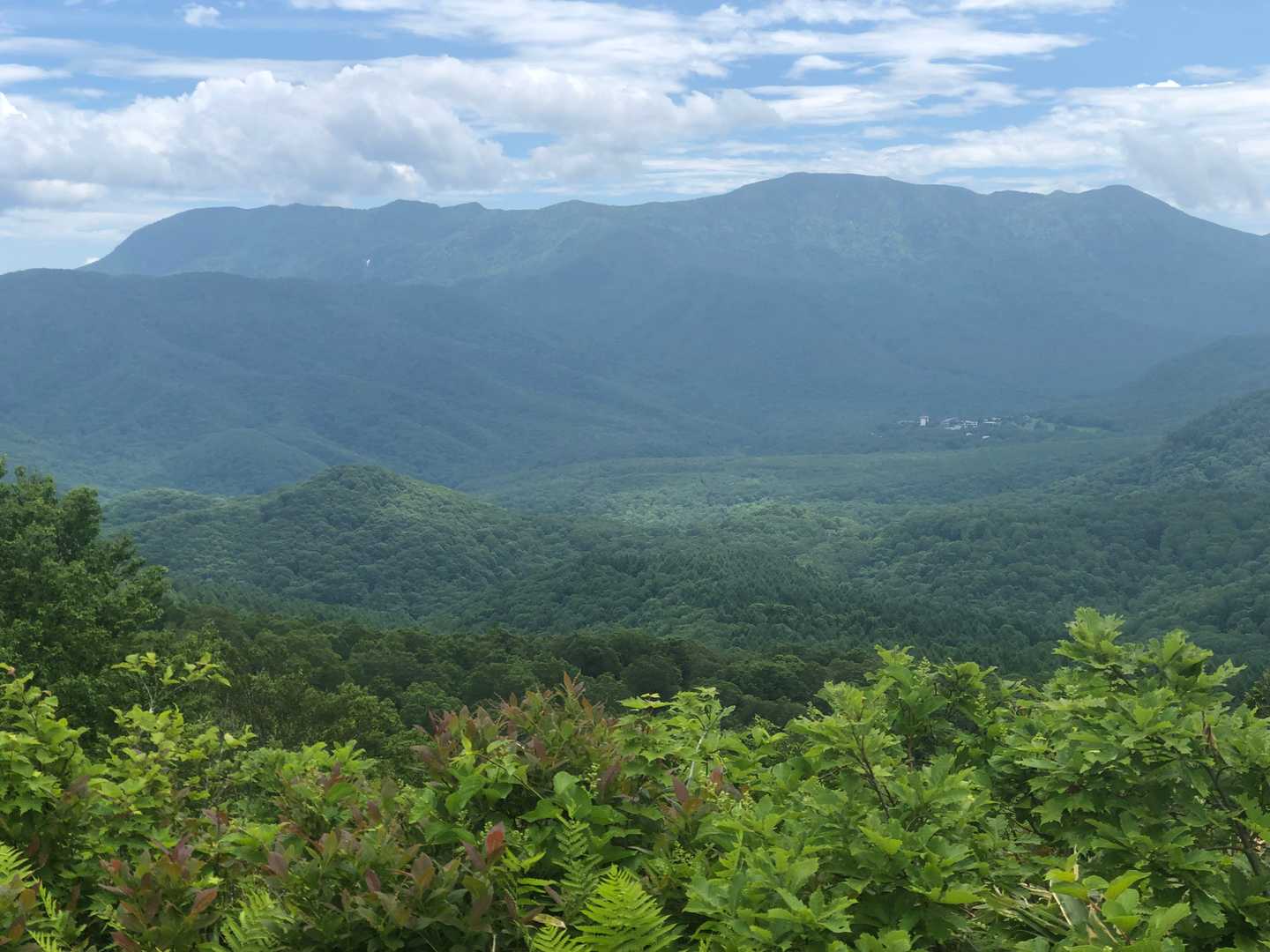 高標山登山口-高標山 往復コースの写真