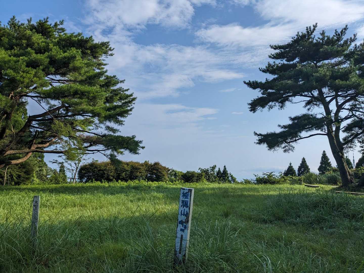 権現山頂。