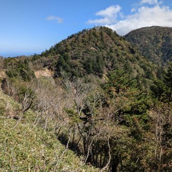 釈迦ケ岳に続く稜線
登ってきた穏やかな北西斜面と対照的に、南東側は切れ落ちた荒々しい山容。