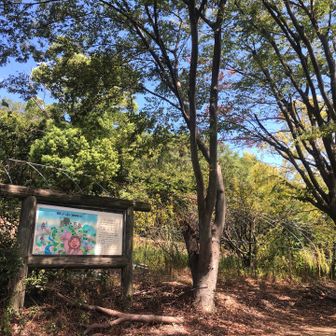 ２回目も飯山に下山