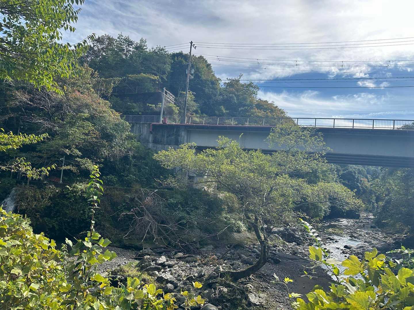 京都一周トレイル（二ノ瀬〜京見峠）の写真
