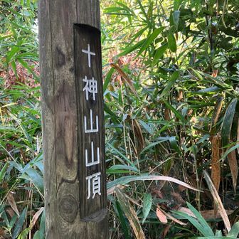 眺望はありません