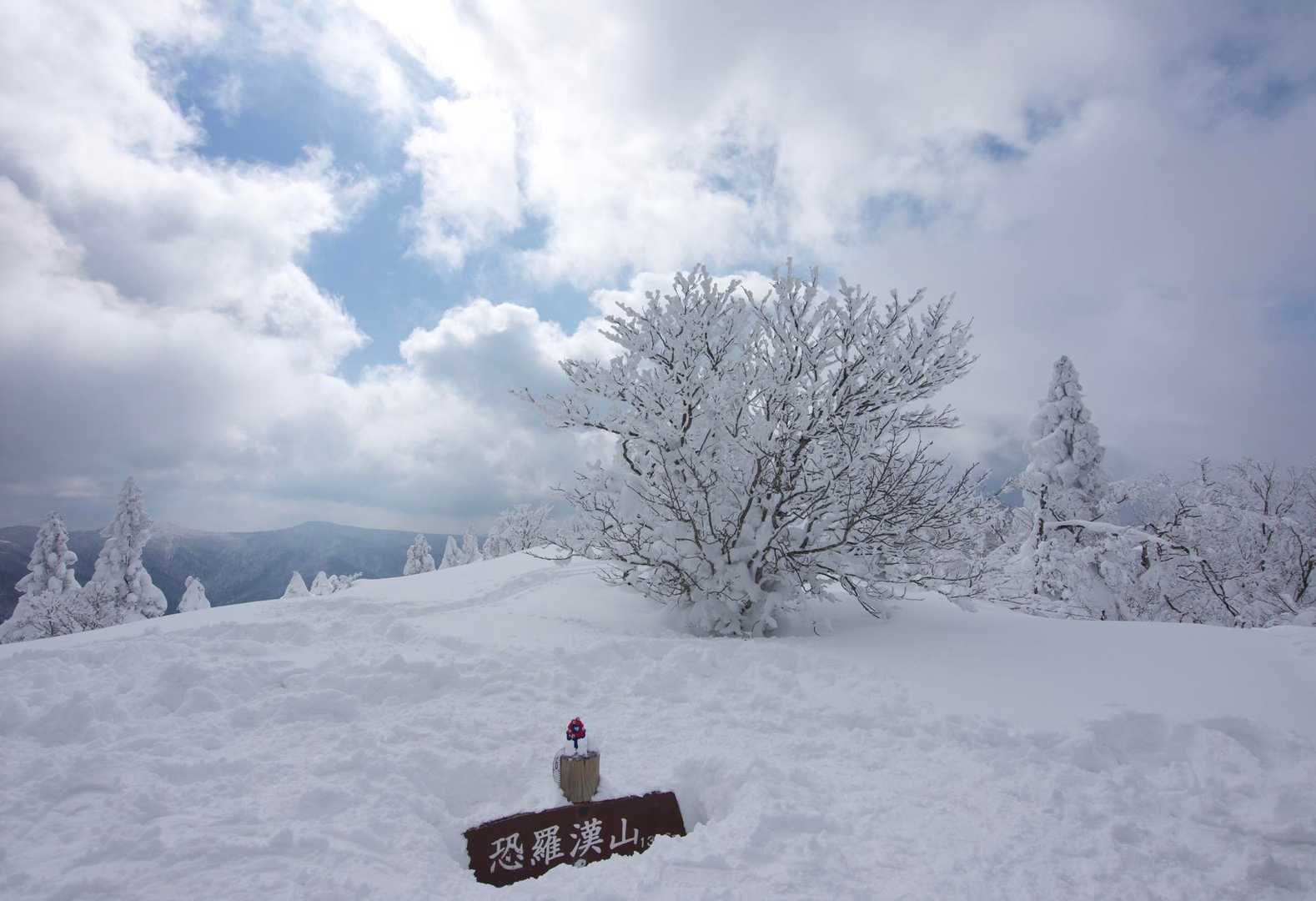 恐羅漢山 往復コースの写真