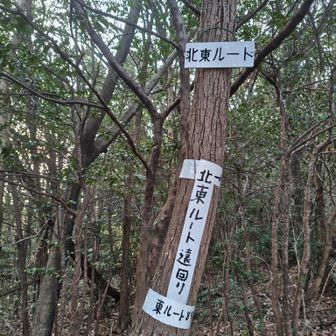 メインルートに合流