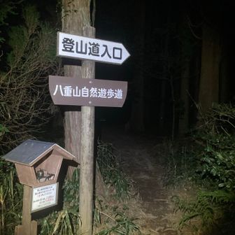 朝早く目が覚めてしまい
気まぐれに八重山へ朝駆け😅