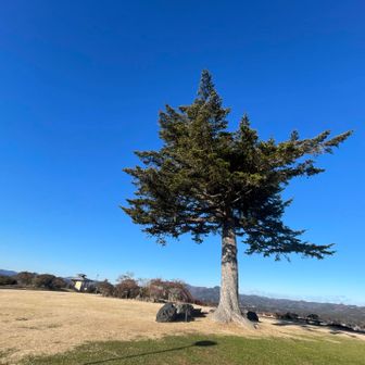 公園内なので、富士山山頂はこんな感じで、
山に登った感は無いけど、良い眺望だし、
手入れが行き届いていて、道の駅レベルの
綺麗なトイレ🚻もあり、良い公園です♪