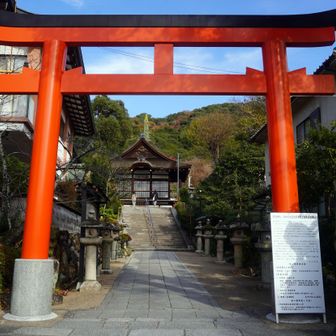 宇治神社
この地は応神天皇の離宮跡でもあり、皇子の菟道稚郎子命の宮居跡と伝えられている
応神天皇は生前より、御祭神の菟道稚郎子命を皇嗣として指名し、兄である大鷦鷯命(後の仁徳天皇)を太子の輔導としていた。これは、古代の慣例で、若い者に嗣がせた方が、一代での活躍期間が永く、繁栄が期待できるとされたからである
しかし、菟道稚郎子命は博士の王仁から儒教思想を受け、長男相続説を唱えていた
その結果、応神天皇崩御(310年)後、菟道稚郎子命と大鷦鷯命とが3年近く互いに皇位を譲り合い、空位が続き国の混乱を招いた
菟道稚郎子命はこの状態を解決するため、離宮のあったこの宇治の地で自らの命を絶ち、兄である大鷦鷯命に皇位を譲ったのである
この出来事を悲しんだ大鷦鷯命が仁徳天皇として即位した年(313年1月3日)の313年５月、この地に菟道稚郎子命の御神霊を祀ったことが、宇治神社の創祀となった
