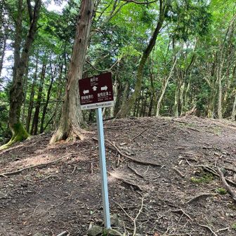南平台への分岐。ここを奥へ行く。