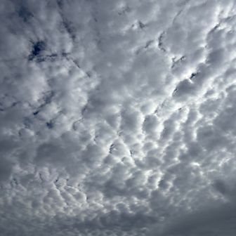 うろこ雲☁️