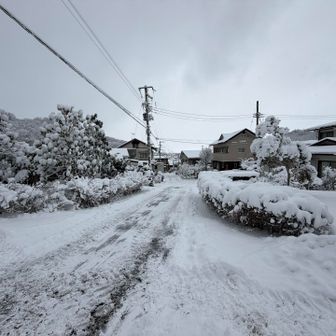 私のクルマは先の交差点で引き返した🚙