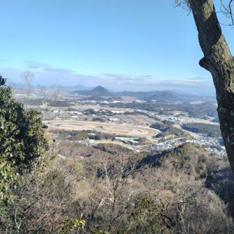 栗東のトレーニングセンターが見えます