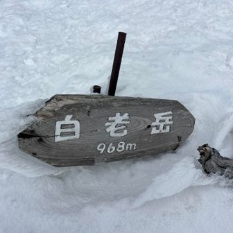 白老岳ちゃく👍