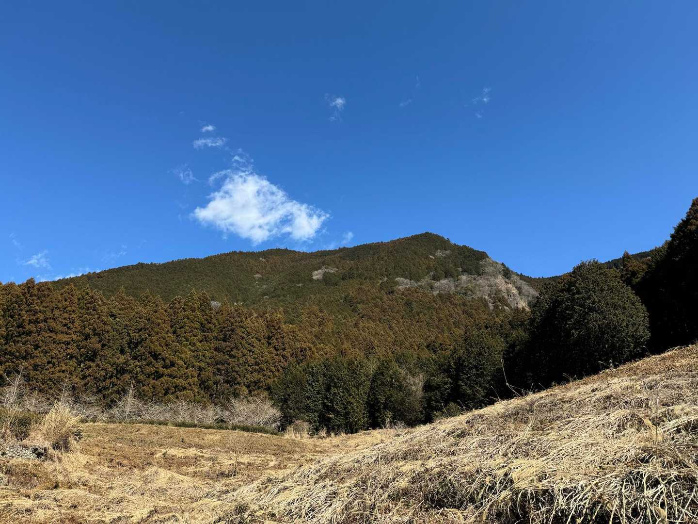 富士見岳-駒引峠 周回コースの写真
