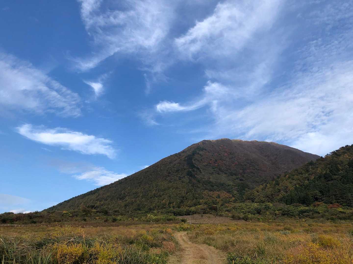 西の原登山口-男三瓶山 往復コースの写真