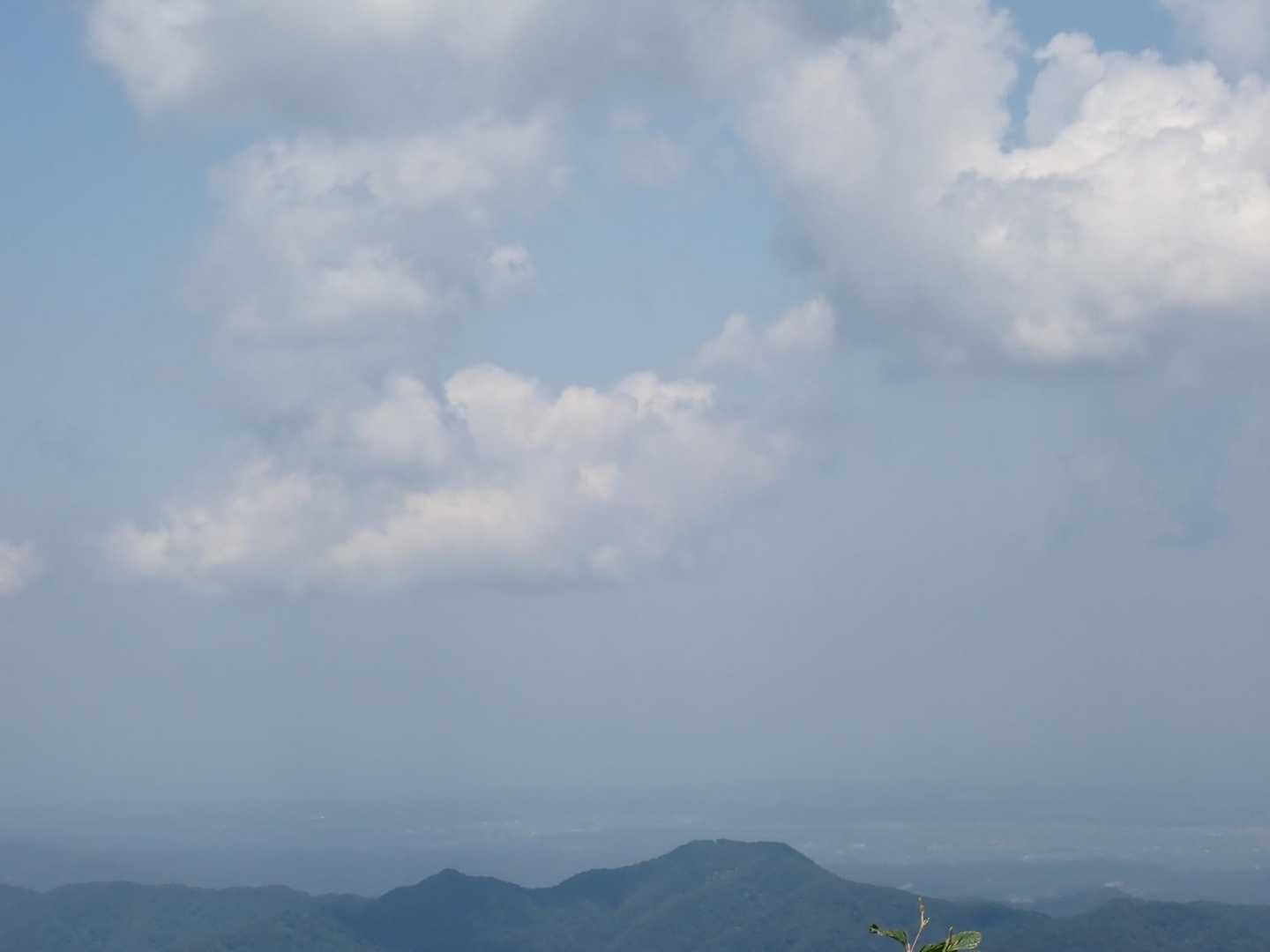 蟹の目山。
太郎さんいるかな？