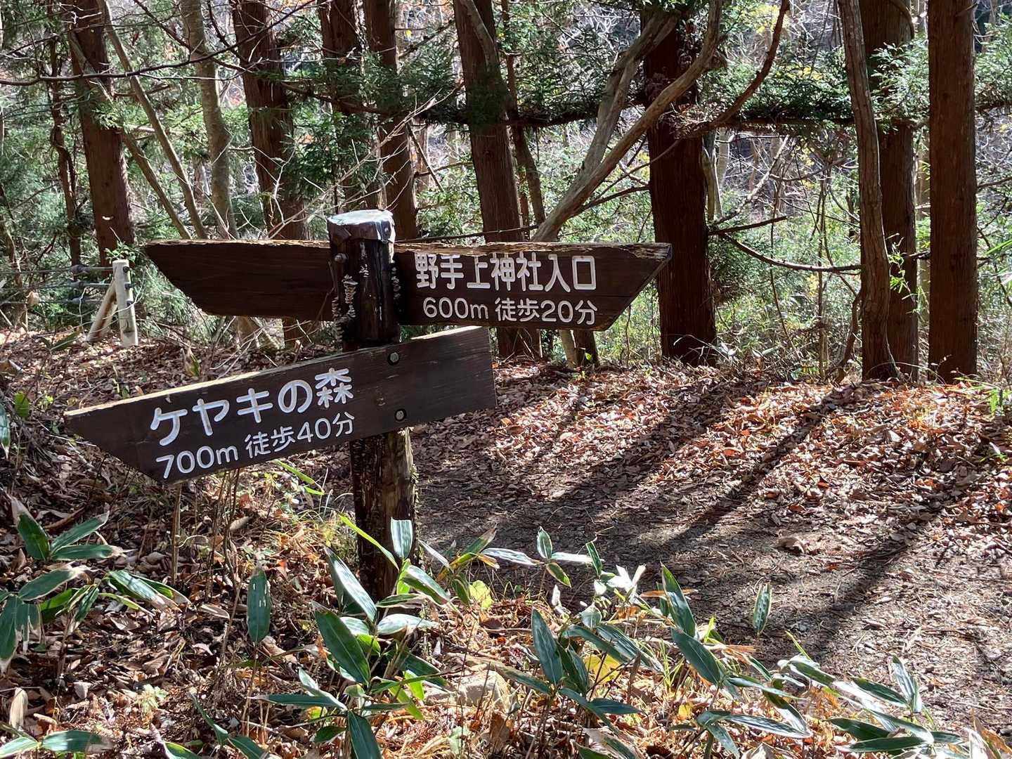 林道まで下りてきました。