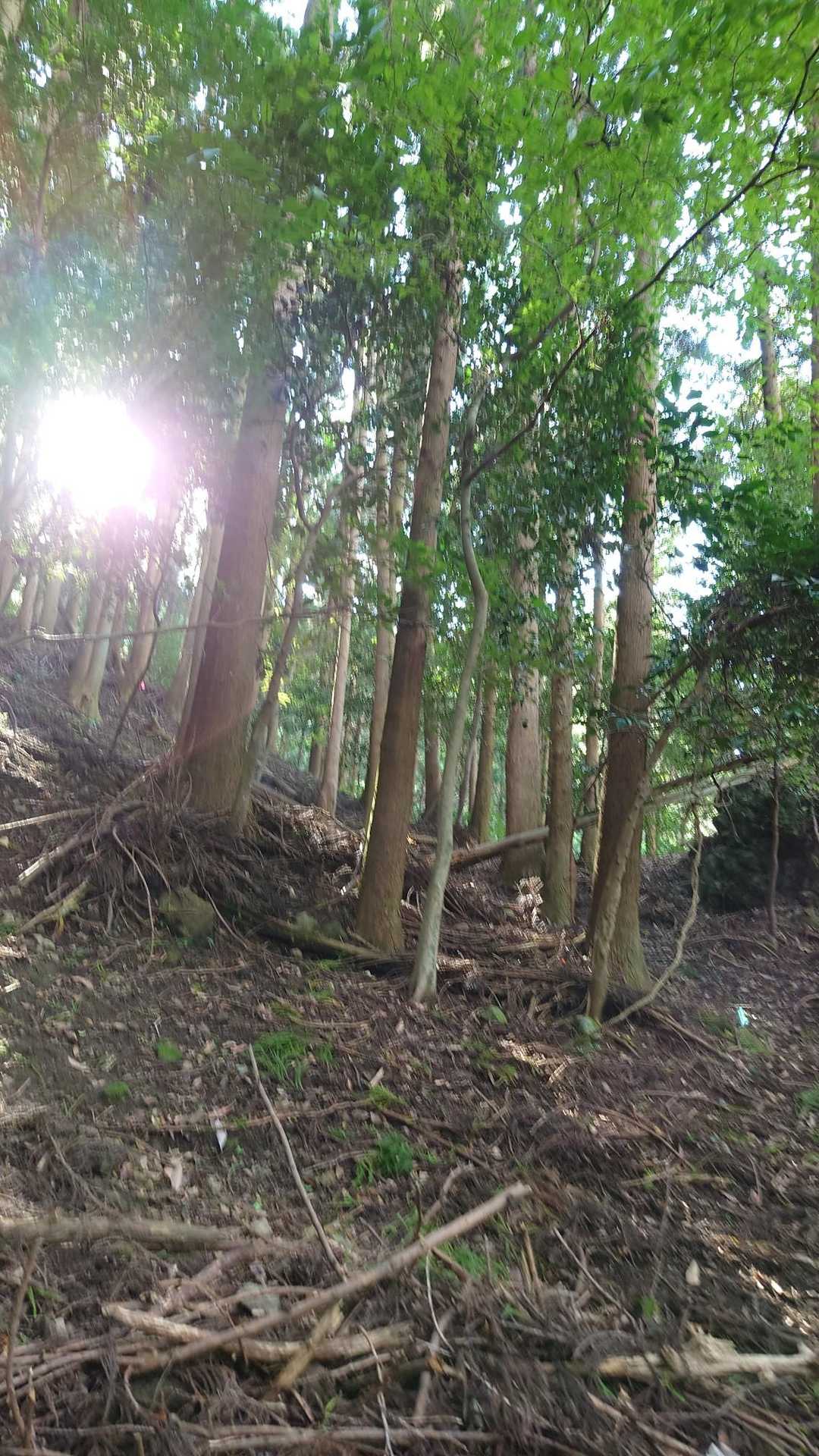 涸沢を登る