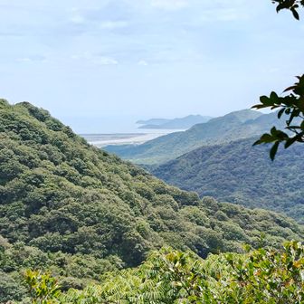佐波川〜防府新大橋✨️