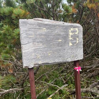 五号目で８割らしい