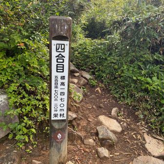 時々泥濘と格闘しながら4合目へ。