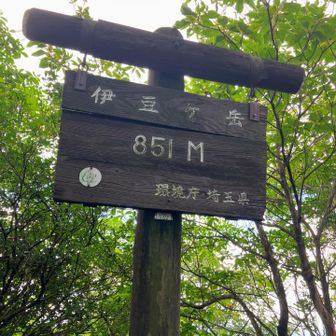 伊豆ヶ岳　日本百低山✨
秩父エリアで見慣れた木製看板👀