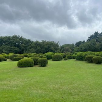 あっピーク取る為に入ったに忘れてた
かなり戻ります💦