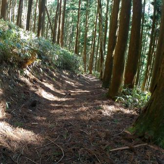 いよいよ高野口へ向けて下ります！