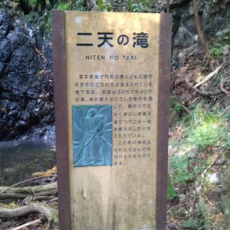 これが出てきました