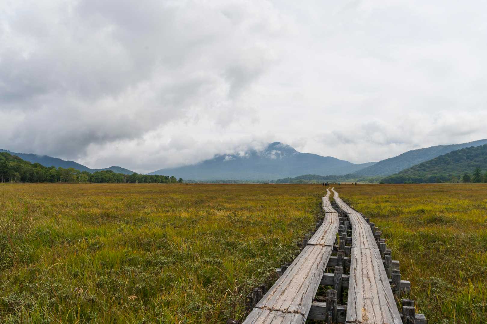 鳩待峠-尾瀬ヶ原 周回コースの写真