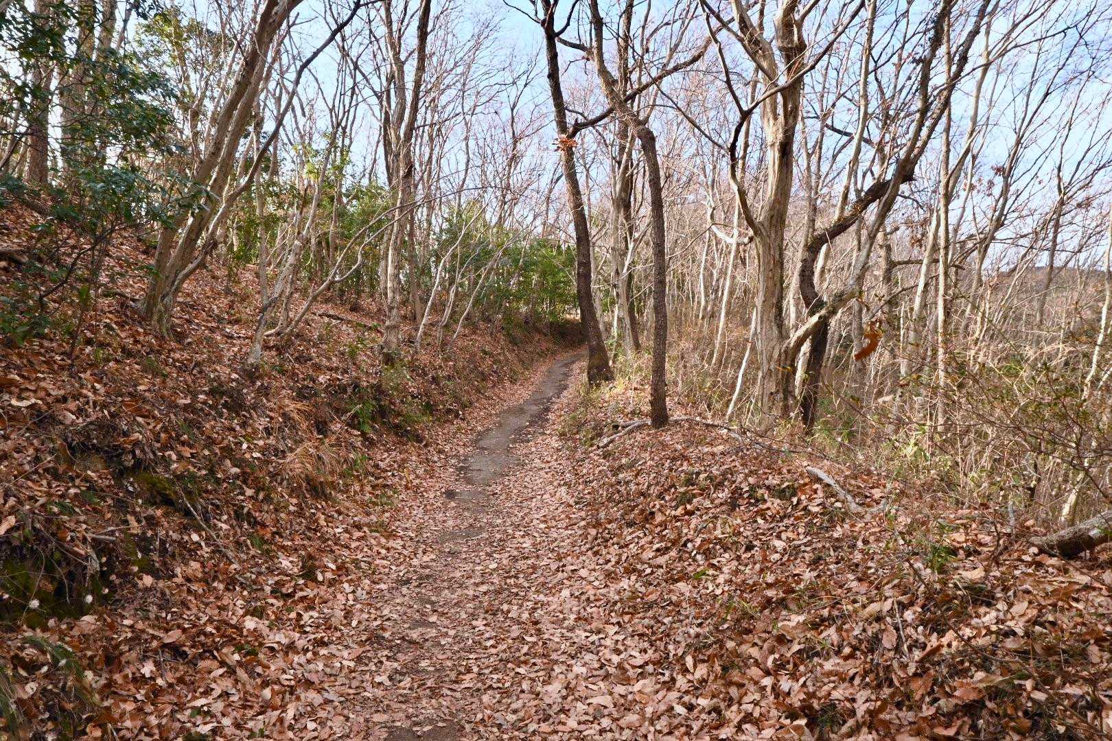 聖峰 往復コースの写真