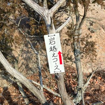 岩越えコース。ロープもない岩に張り付きながら登る気分はスパイダーマン。