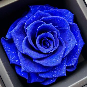 bluerose